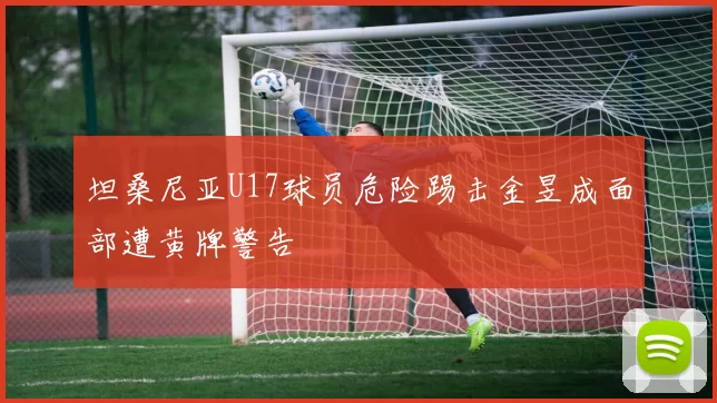 坦桑尼亚U17球员危险踢击金昱成面部遭黄牌警告